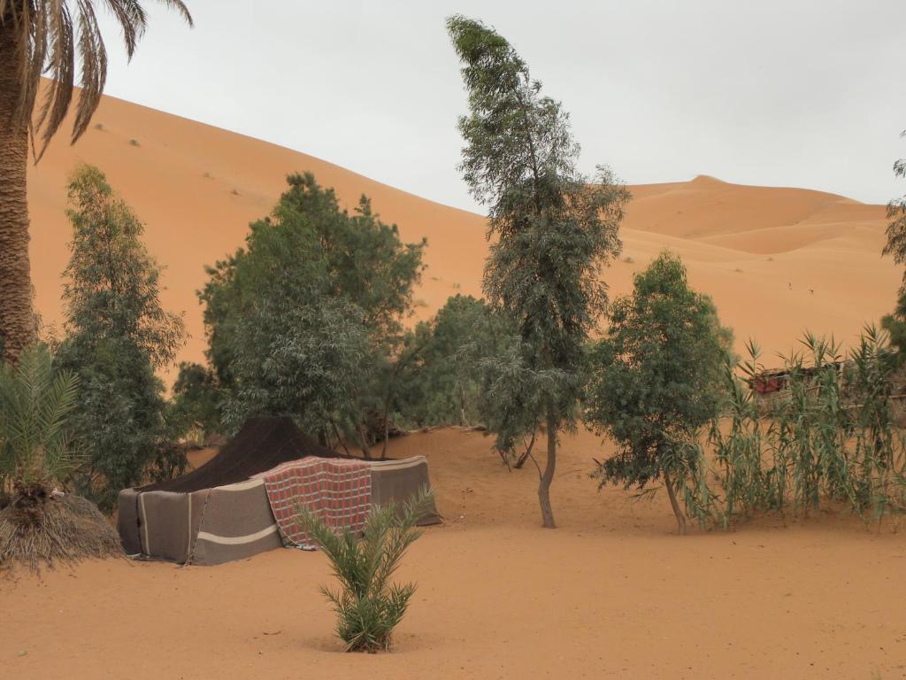 Chez Tonton Ξενοδοχείο Merzouga Εξωτερικό φωτογραφία